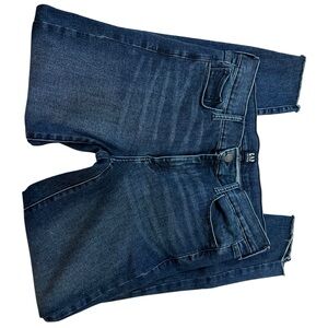 GAP Dark Blue Women Jeggings